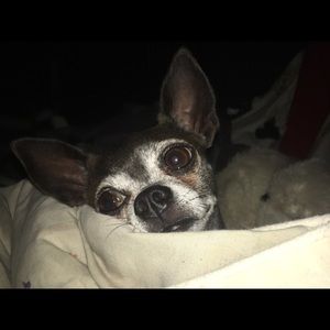 Meet your Posher, Kenna